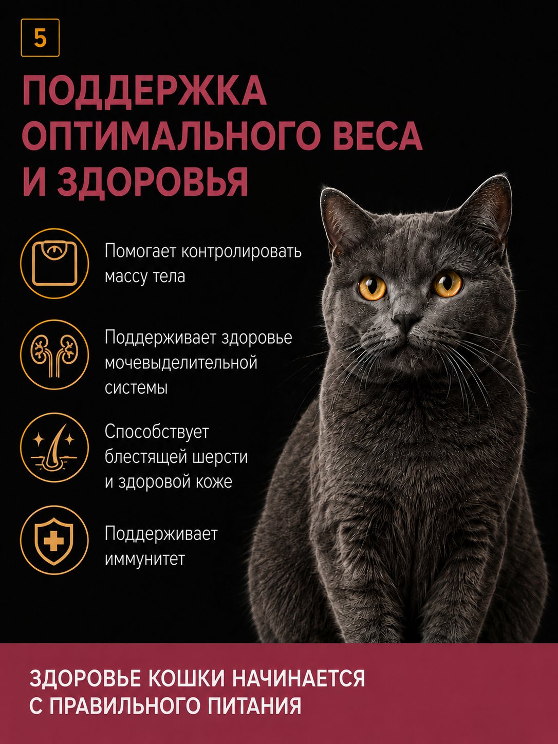Корм для кошек RoxFox сухой полнорационный для стерилизованных кошек с телятиной и индейкой 1,5 кг - фото 5