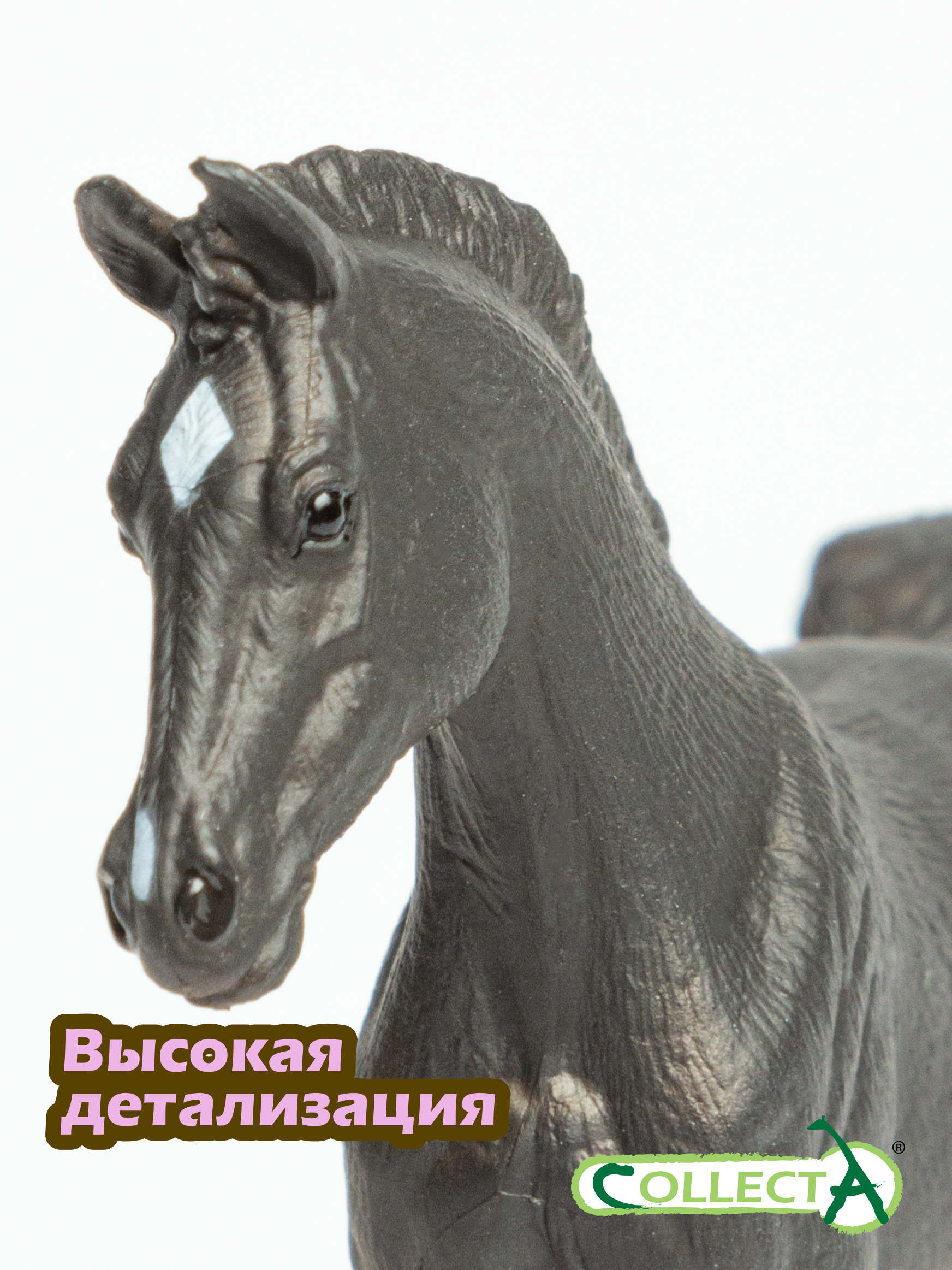 Игровой набор Collecta Жеребёнок Теннессийский чёрный - фото 3