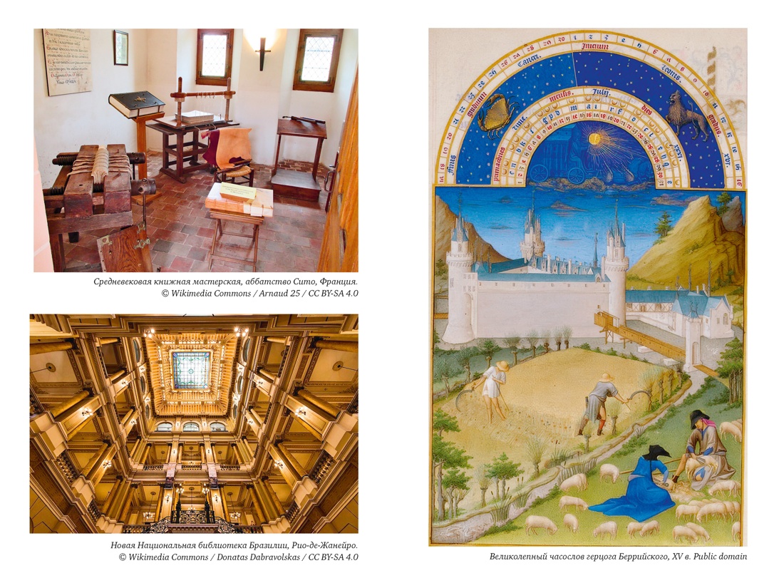 Книга КОЛИБРИ БП Барбье Ф История библиотек Коллекционеры Тексты Здания - фото 8