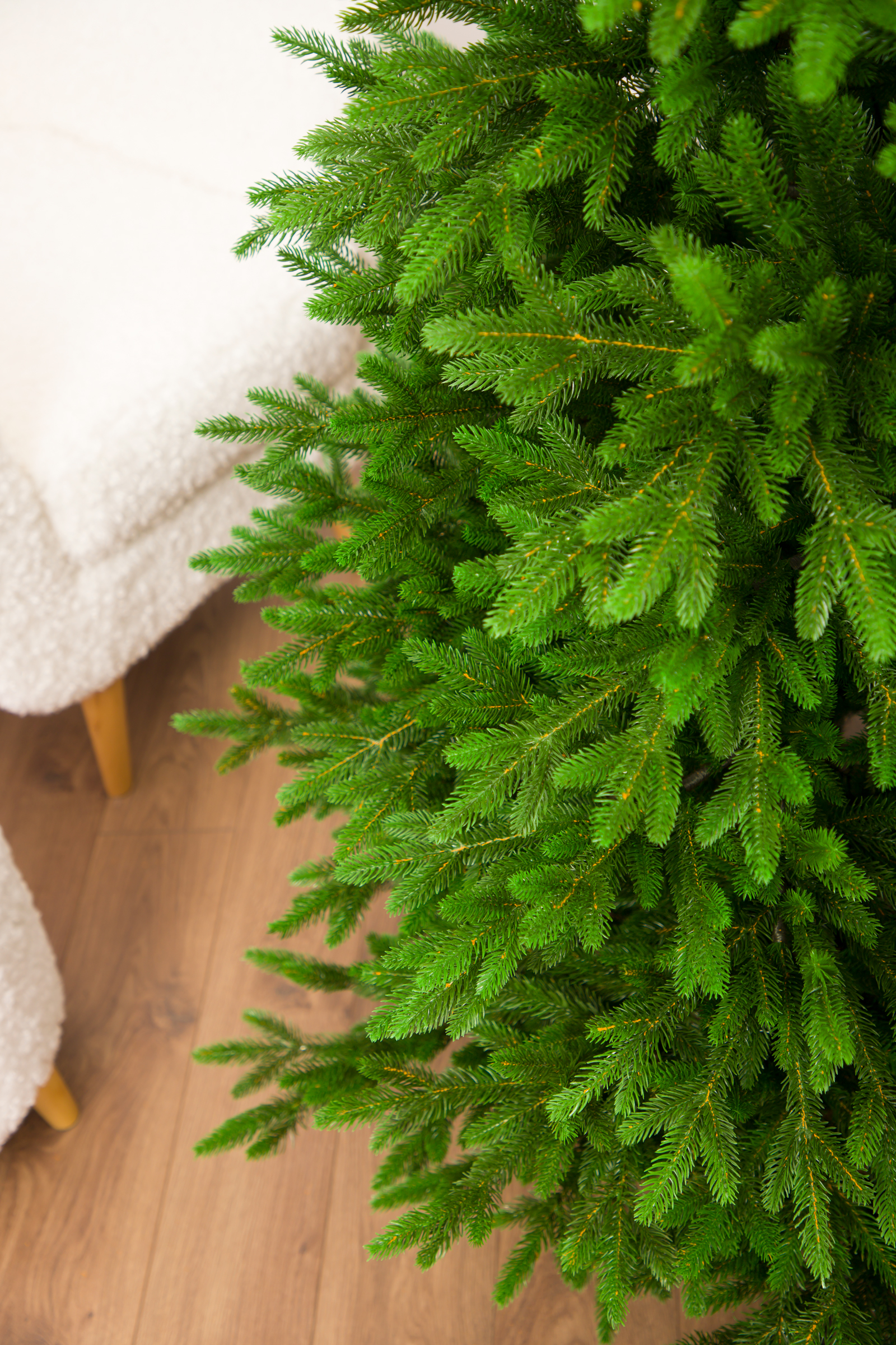 Ель Арфа Империя Ёлок 230 см - фото 4