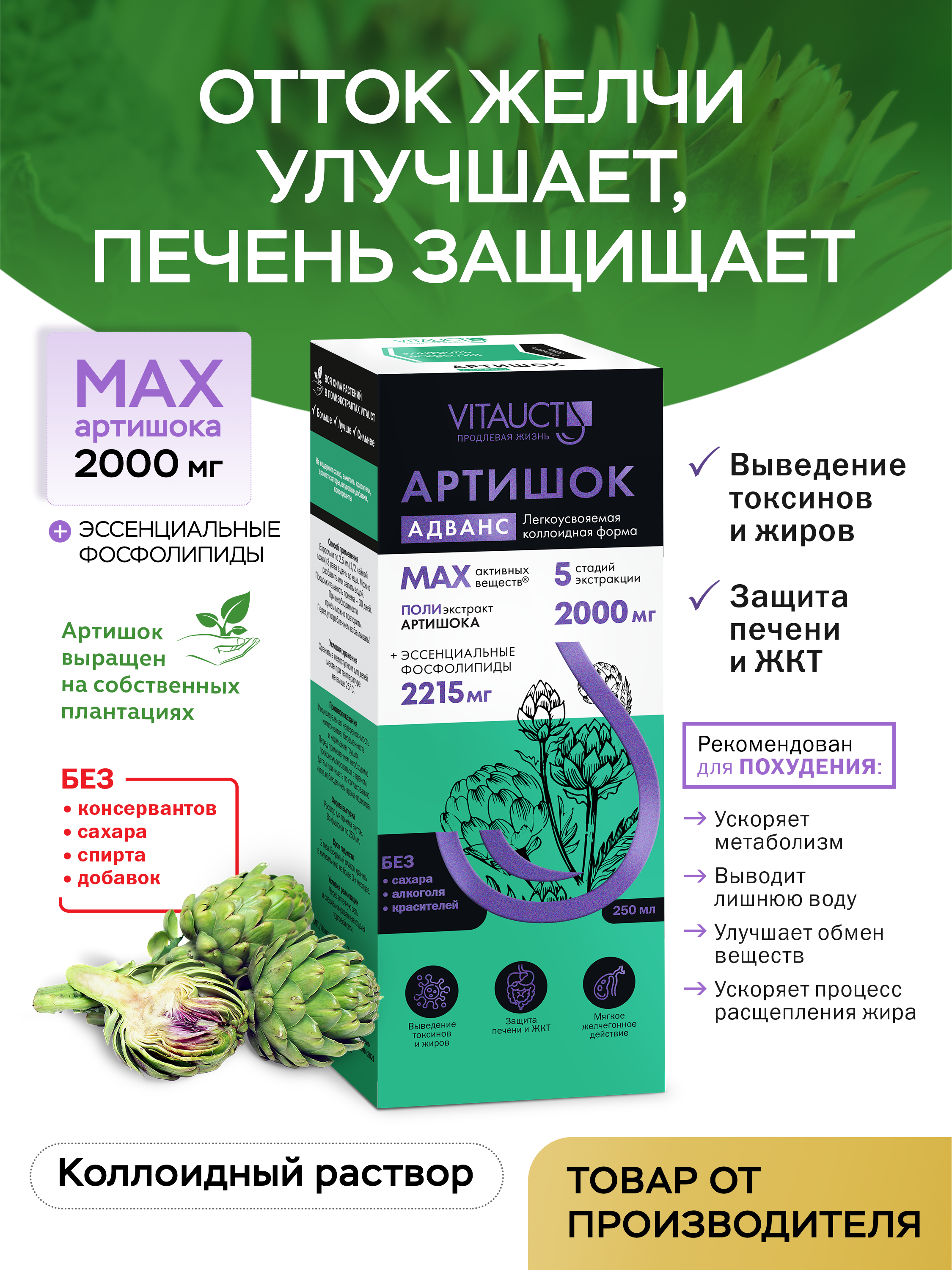 БАД VITAUCT Артишок Адванс с лецитином - фото 1