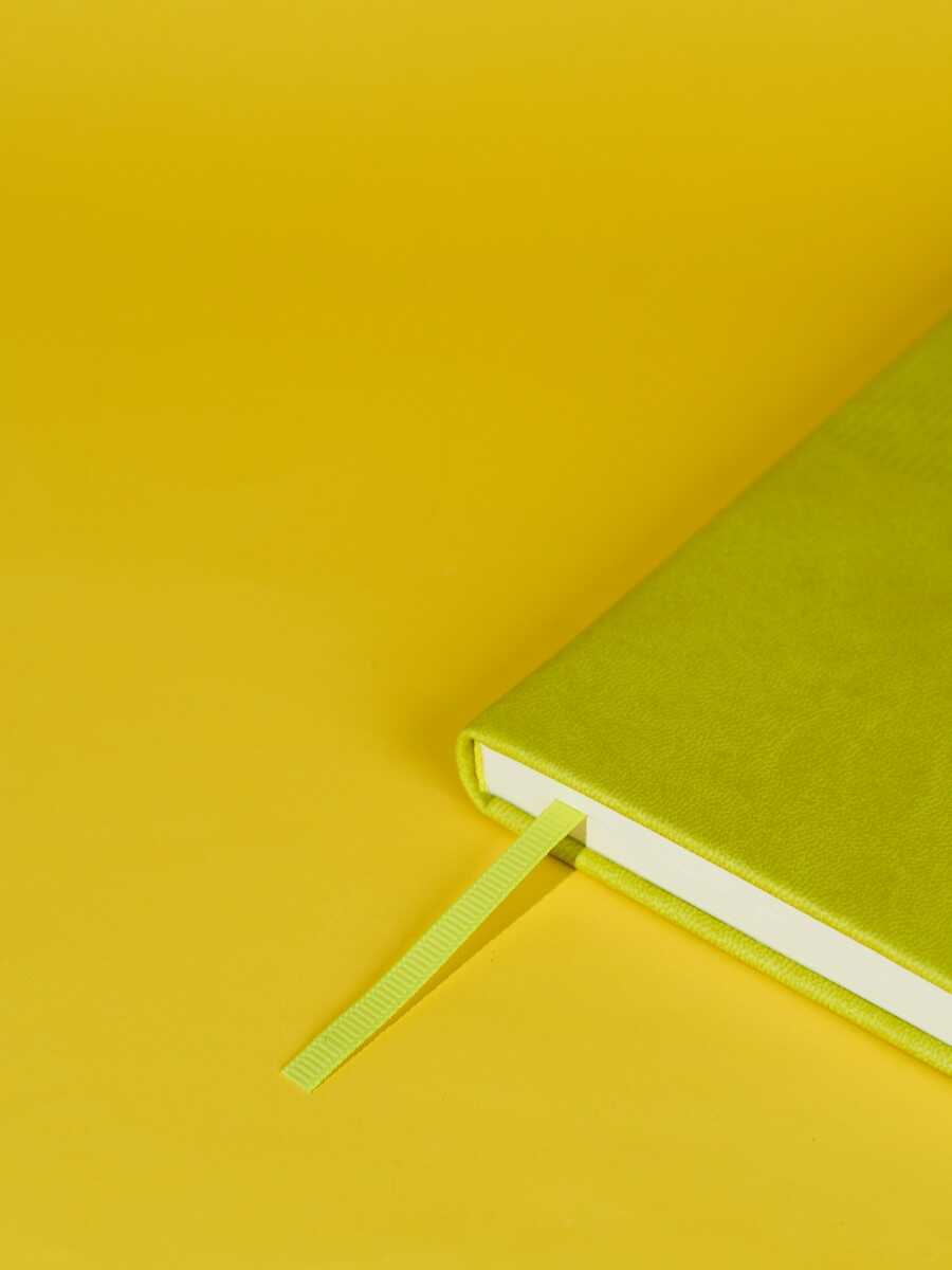 Ежедневник Феникс + ESCALADA 120 лист. - фото 5