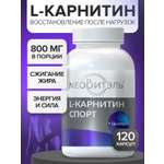L карнитин CigaPan Цыгапан жиросжигатель для похудения