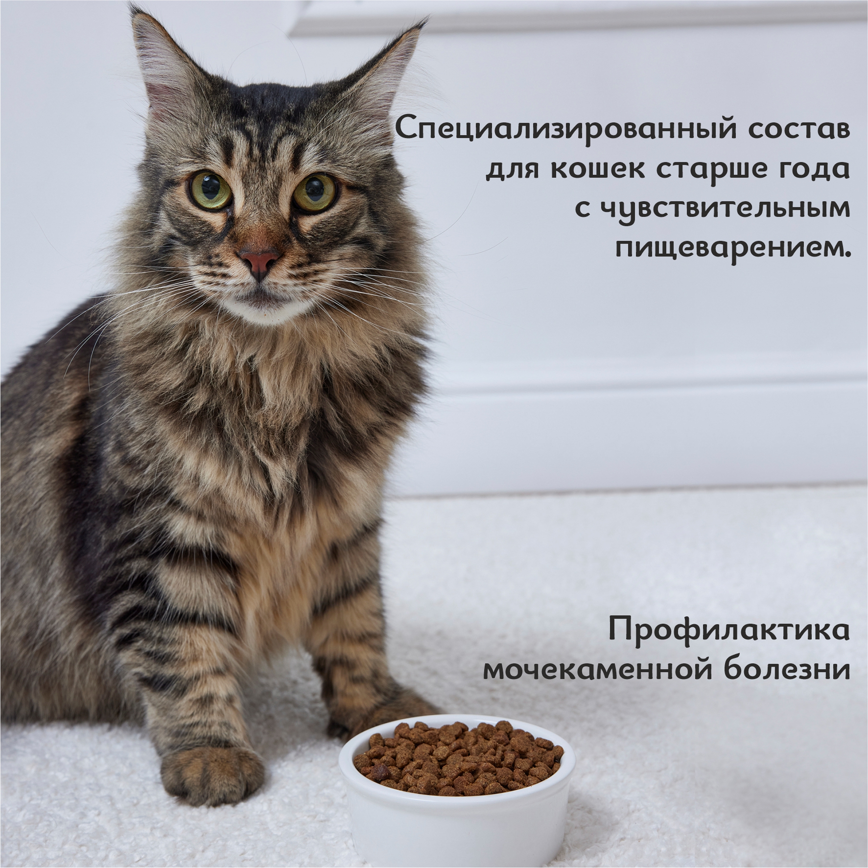Корм сухой полнорационный для кошек Roybis для профилактики МКБ с чувствительным пищеварением с уткой 0.4кг - фото 4
