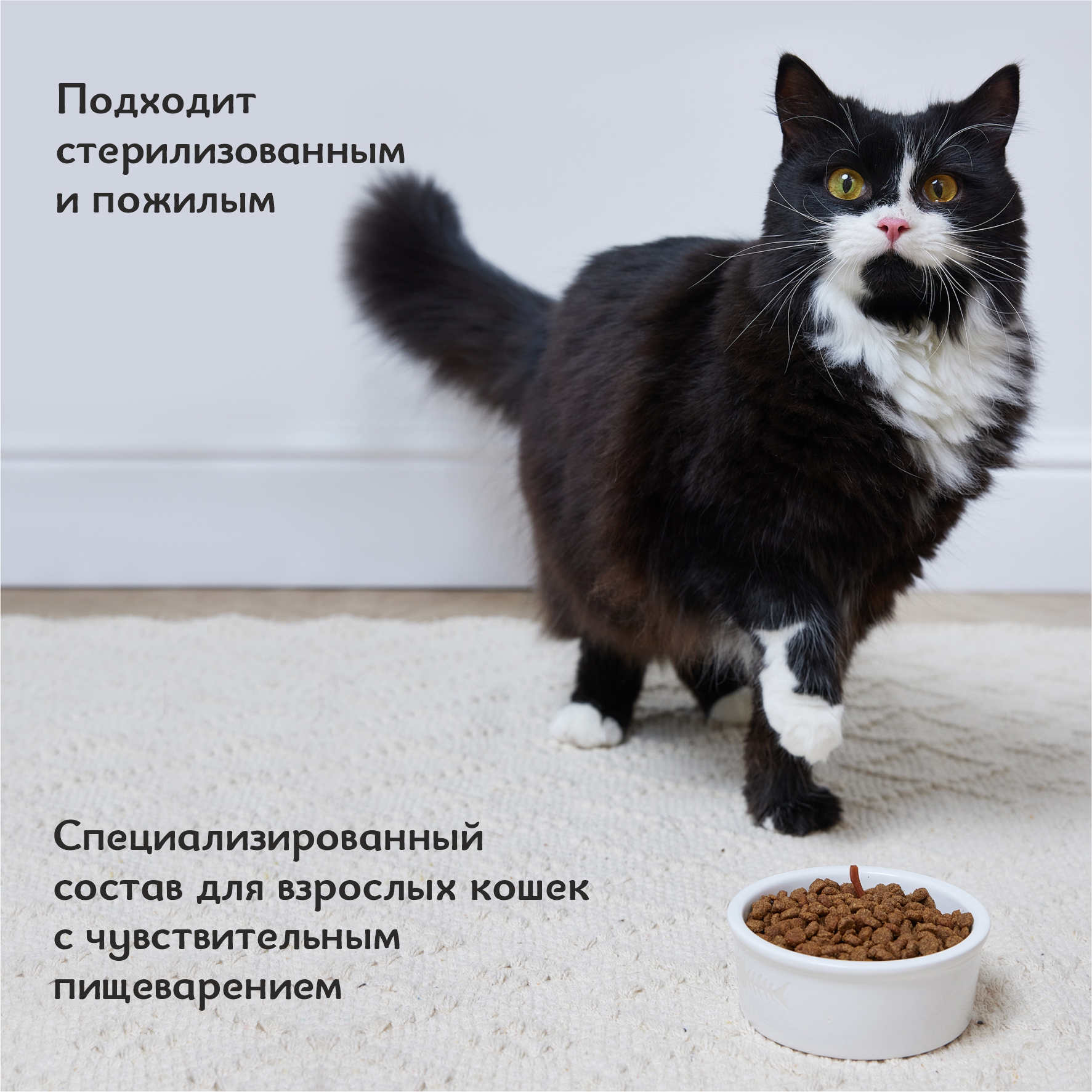 Корм сухой для кошек Roybis с лососем для взрослых и пожилых пород с чувствительным пищеварением 0.4кг - фото 5