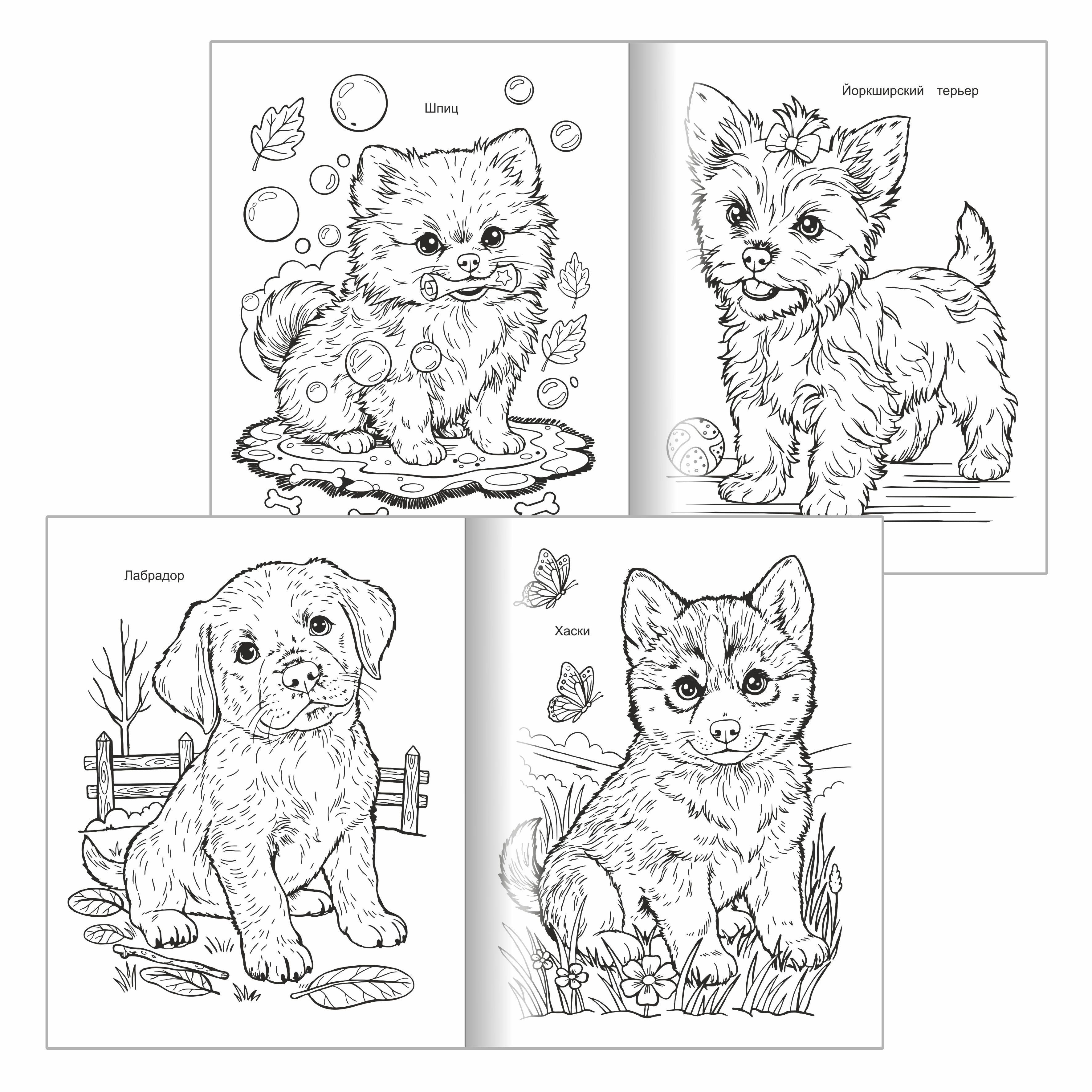 Котики Леда собачки - фото 5