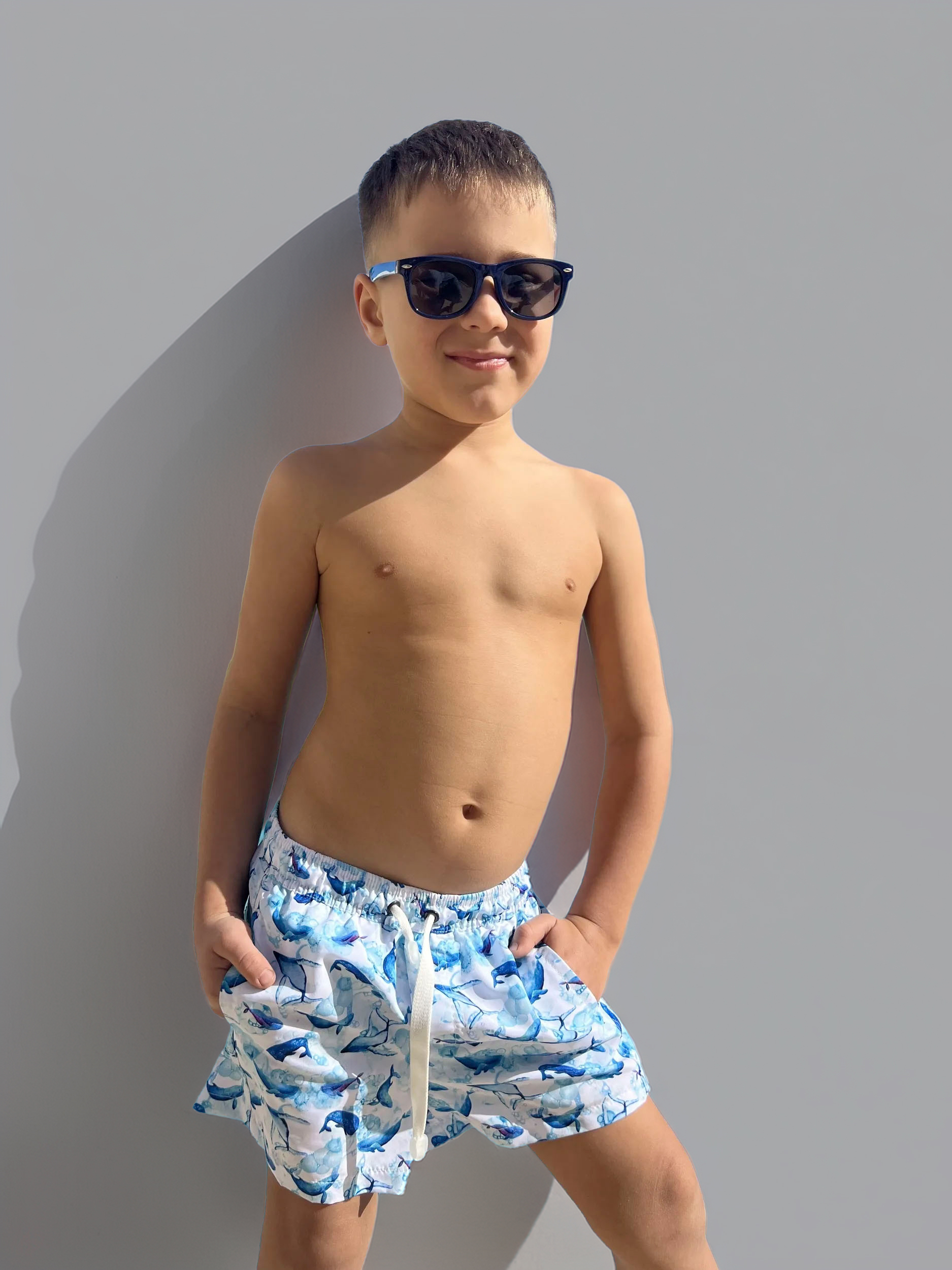 Изображение товара Шорты Capitania: 104