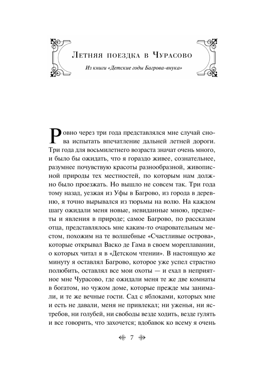 Книга Эксмо Летние истории Рассказы русских писателей - фото 8
