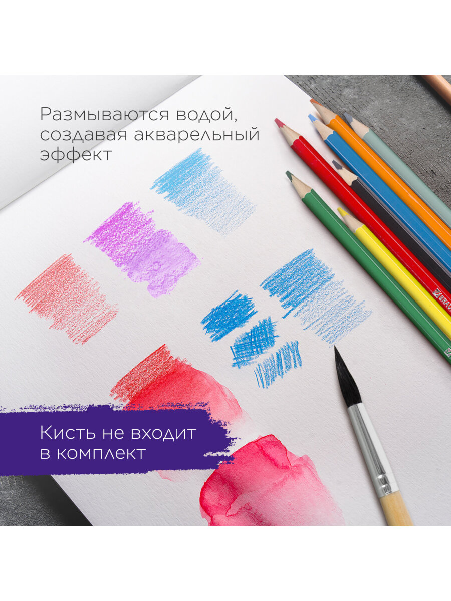 Карандаши акварельные Brauberg 12 шт. - фото 5
