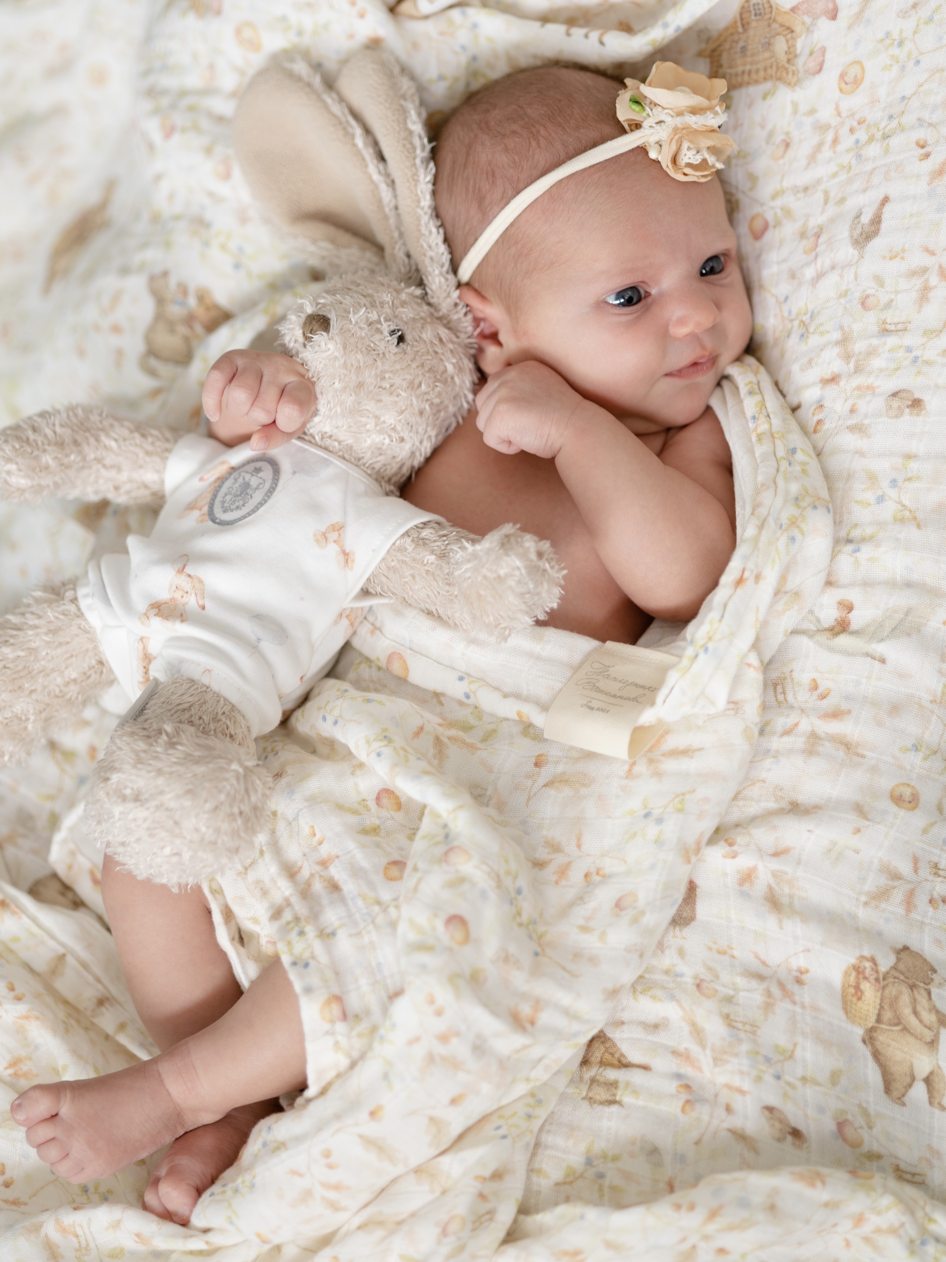 Пелёнка НаследникЪ Выжанова Набор муслиновых пеленок муслин 120х120 см 2 шт. - фото 1