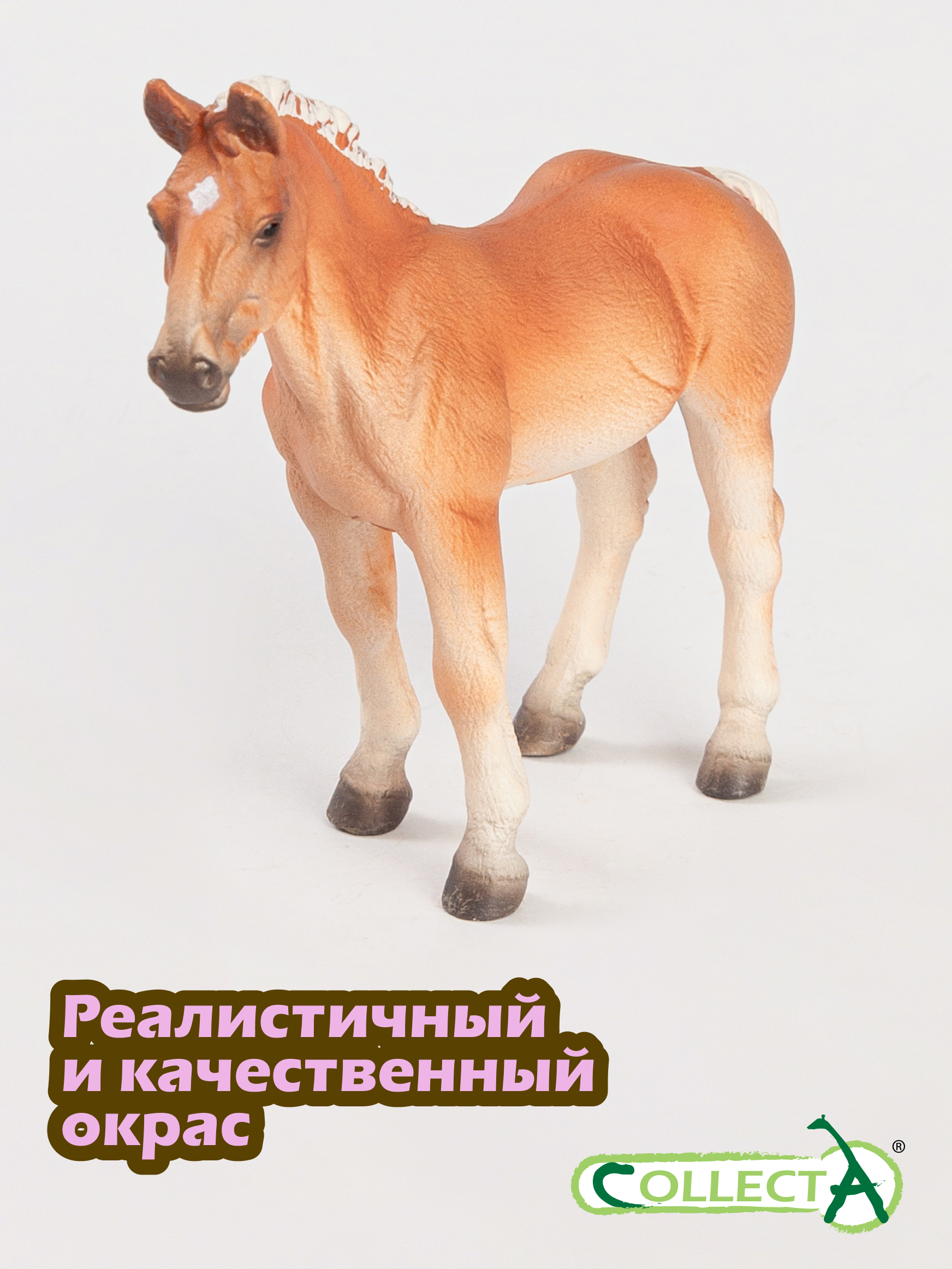 Фигурка Collecta Жеребенок лошади Норикер - фото 4