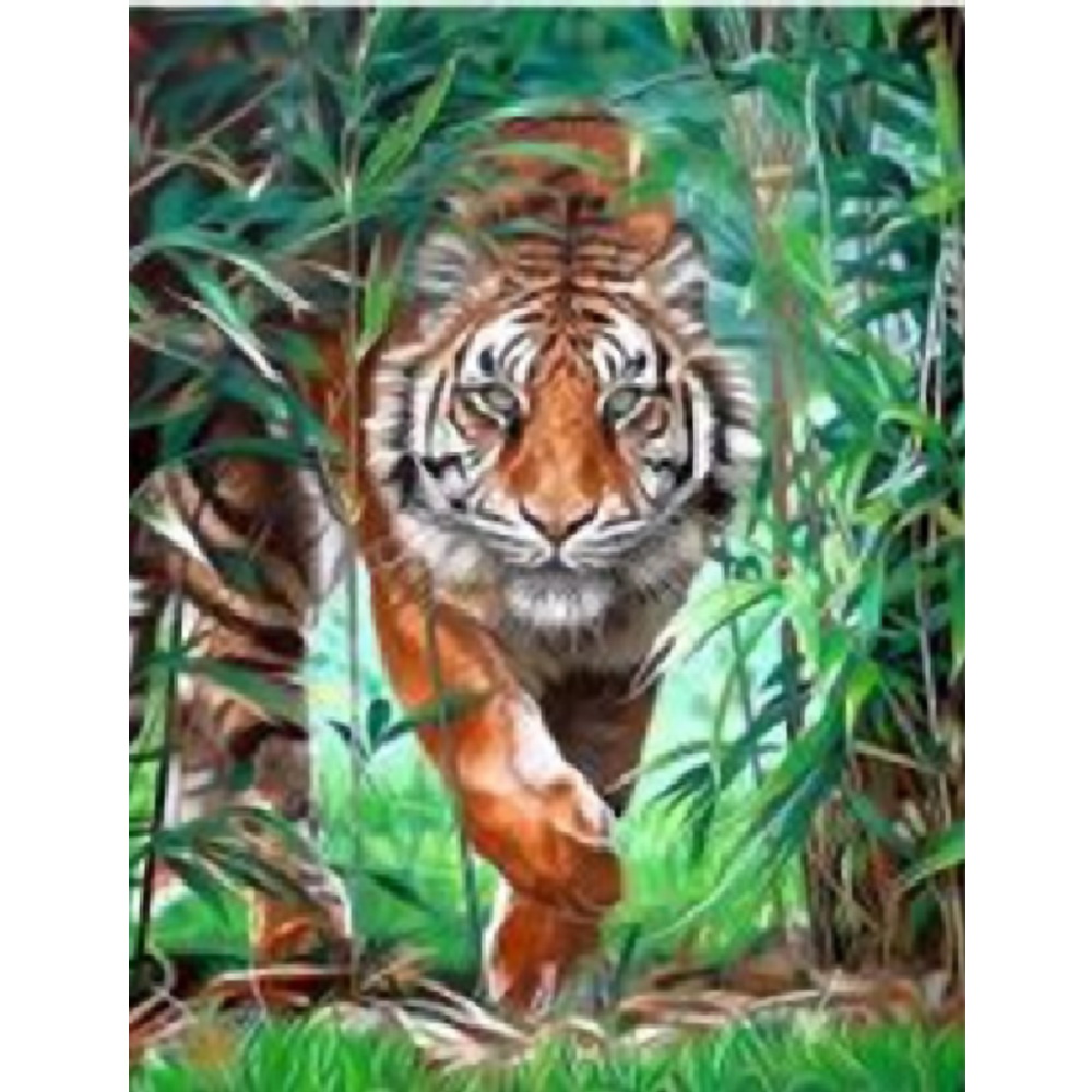 Картина по номерам Tukzar Тигр - фото 1