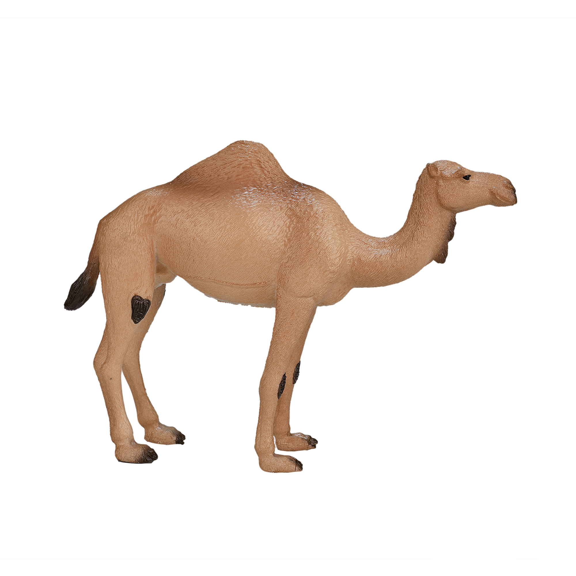 Фигурка KONIK Одногорбый верблюд - фото 2
