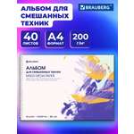 Альбом Brauberg А4 40 лист.