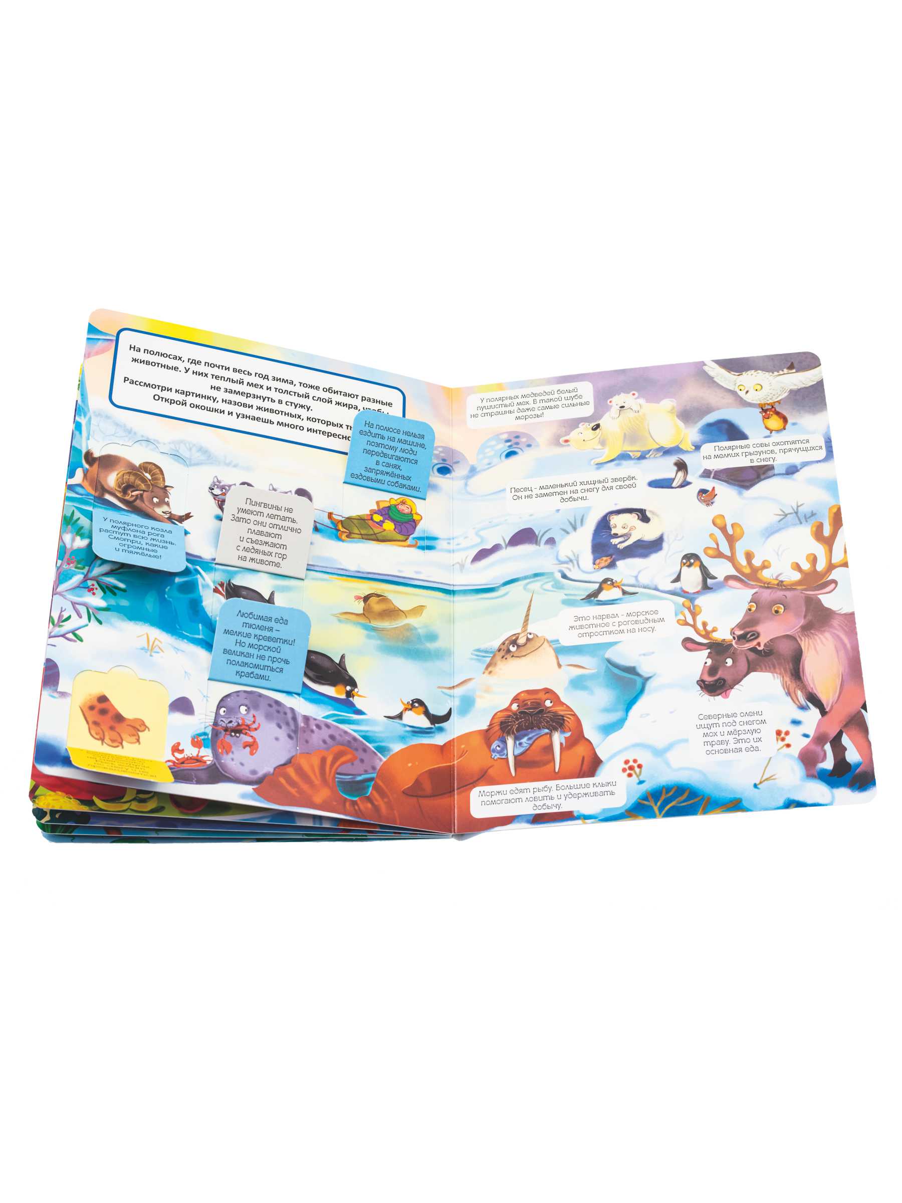 Книжка BimBiMon с окошками Эти забавные животные - фото 13