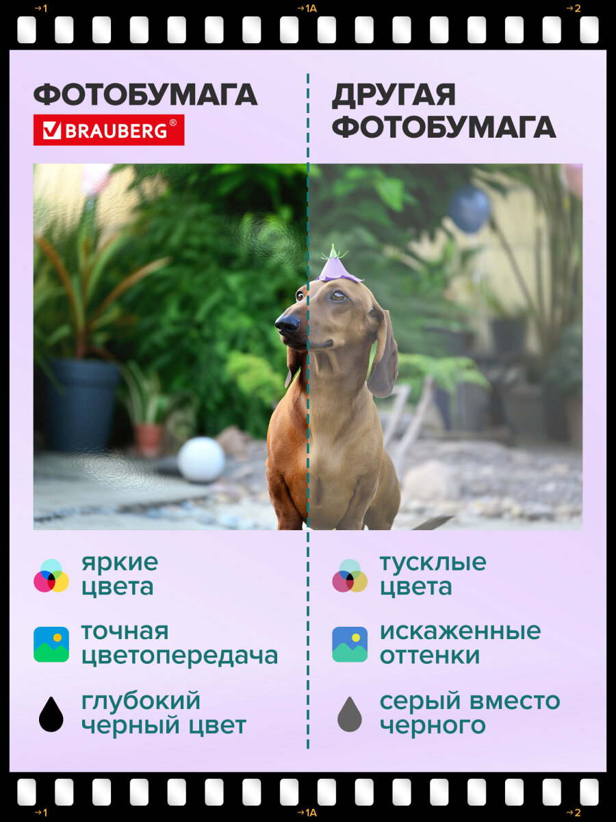 Фотобумага Brauberg глянцевая 10х15 см набор 50 листов односторонняя - фото 5