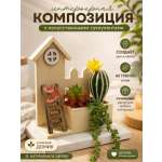 Искусственные цветы SOFANNA Домик 1-2 суккулент