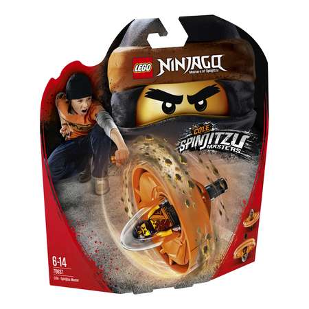 Конструктор LEGO NINJAGO блочный