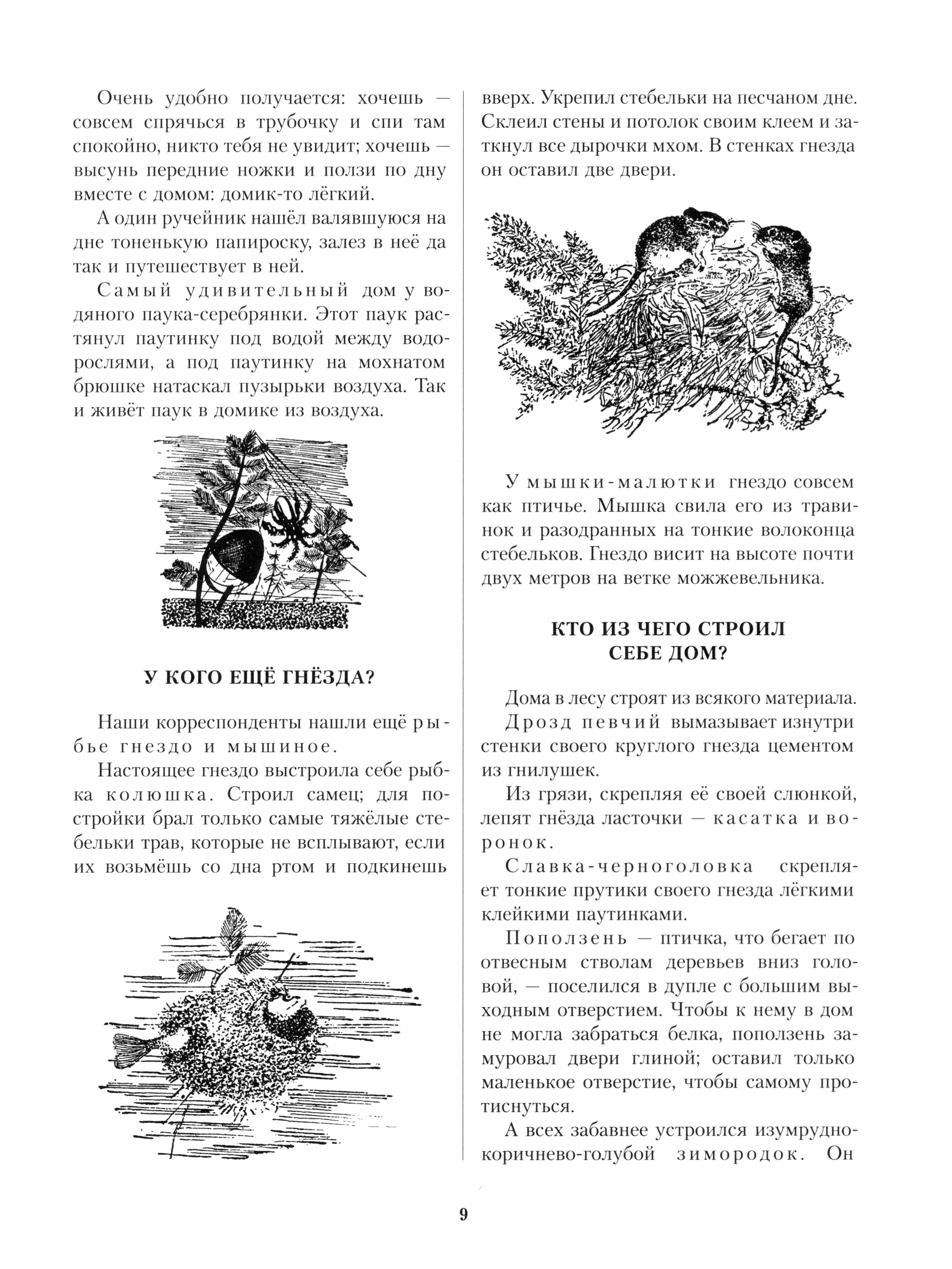 Книга ИД Мещерякова Лесная газета Лето - фото 5