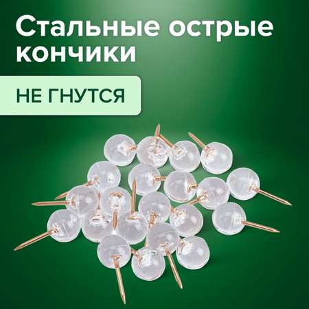 Кнопки Brauberg 100 шт.