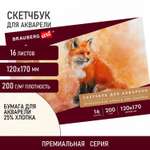 Альбом Brauberg А5 16 лист.