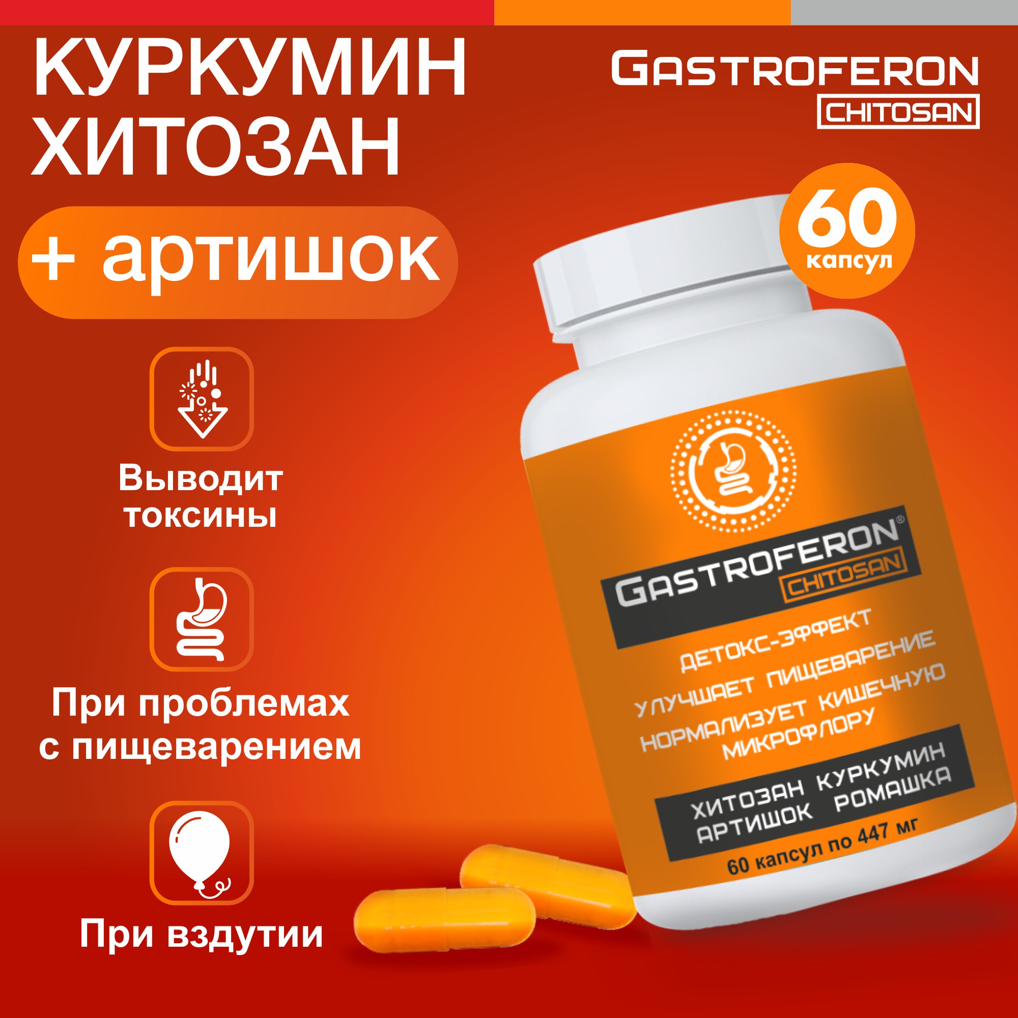 Бад VECTOR-MEDICA ГАСТРОФЕРОН ХИТОЗАН Куркумин Детокс Очищение организма - фото 1