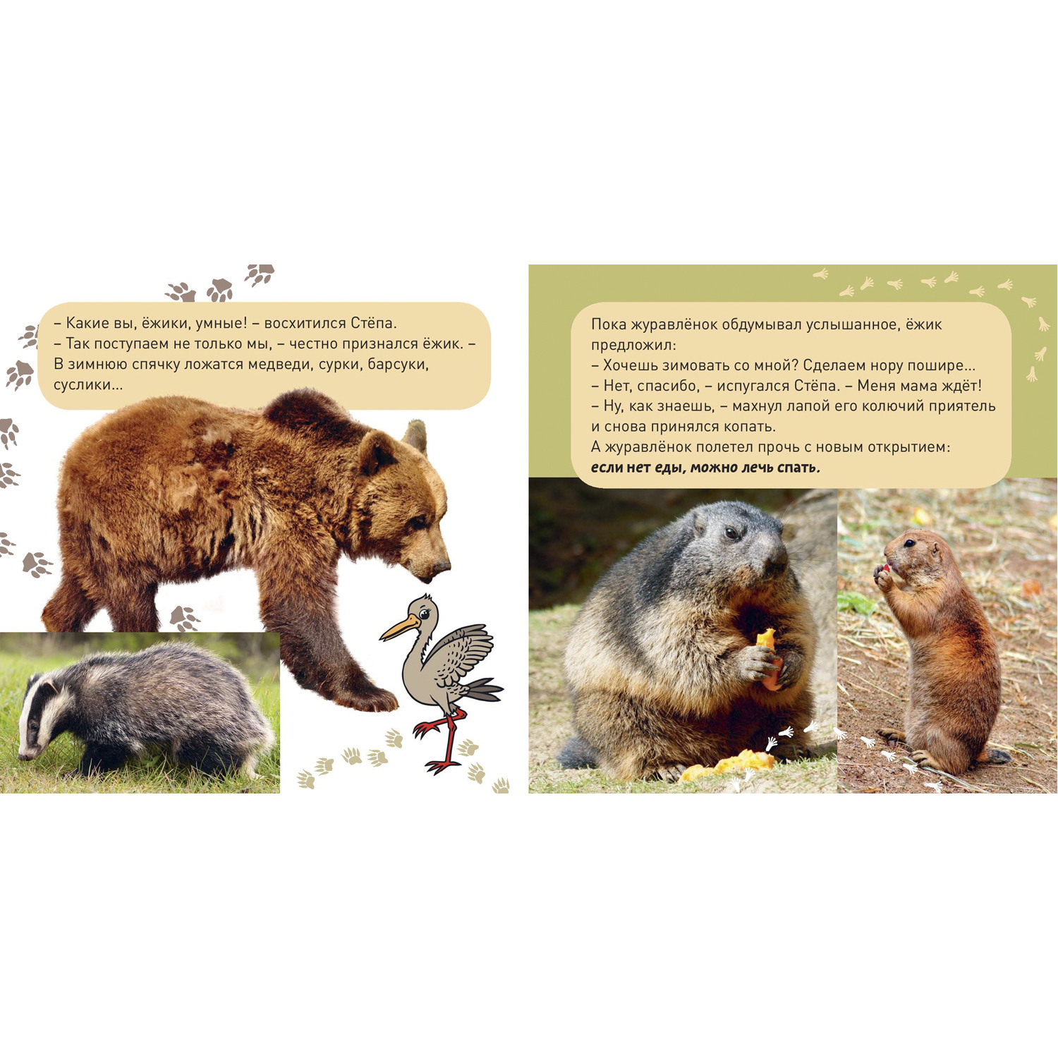 Книга ЭНАС-книга Кто как зимует? - фото 4