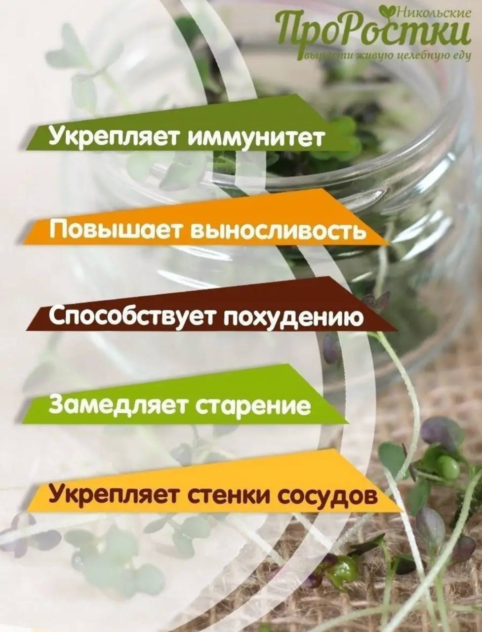 Семена для микрозелени MegaMedia горчица - фото 2