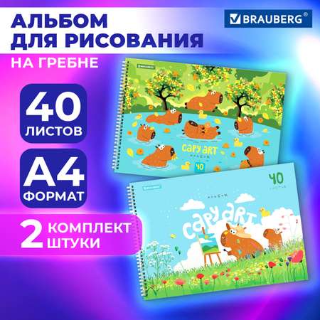 Альбом Brauberg А4 40 лист. 2 шт.