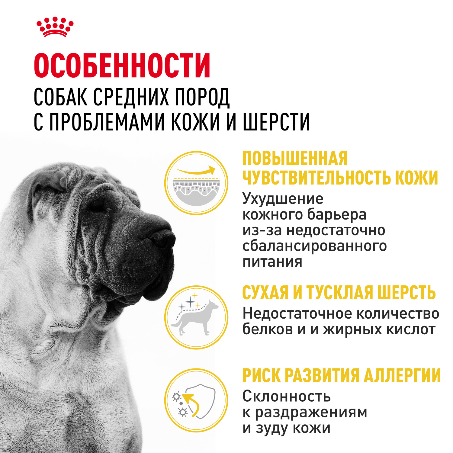 Корм для собак ROYAL CANIN Medium Dermacomfort средних пород склонных к кожным раздражениям и зуду 3кг - фото 2