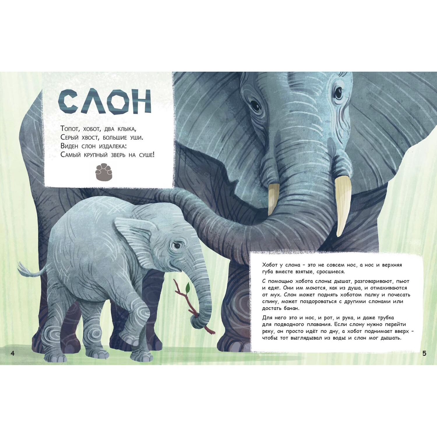 Книга ЭНАС-книга Они такие разные! - фото 5