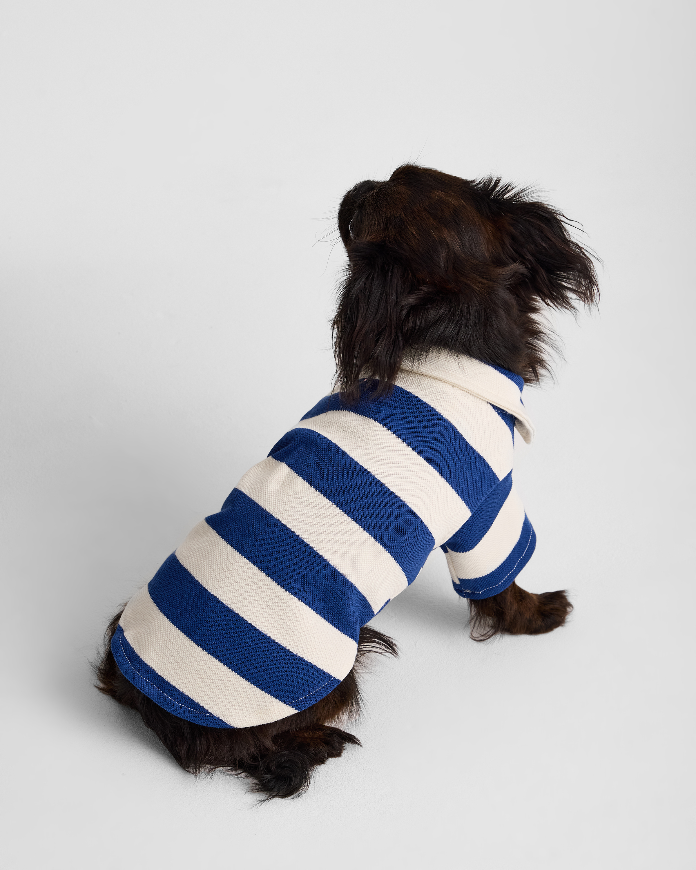 Поло для собак и кошек Зоозавр - фото 4