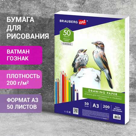Художественная бумага Brauberg для графики 50 лист.