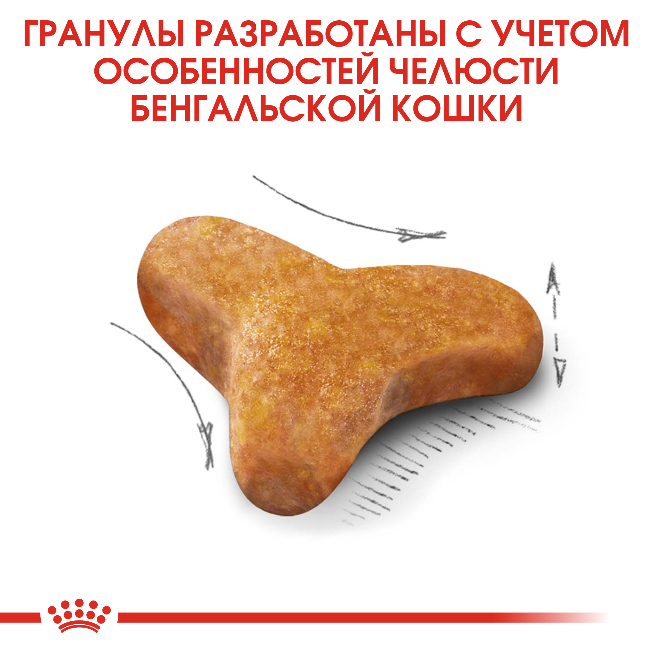 Корм сухой для кошек ROYAL CANIN 2кг Бенгальских - фото 5