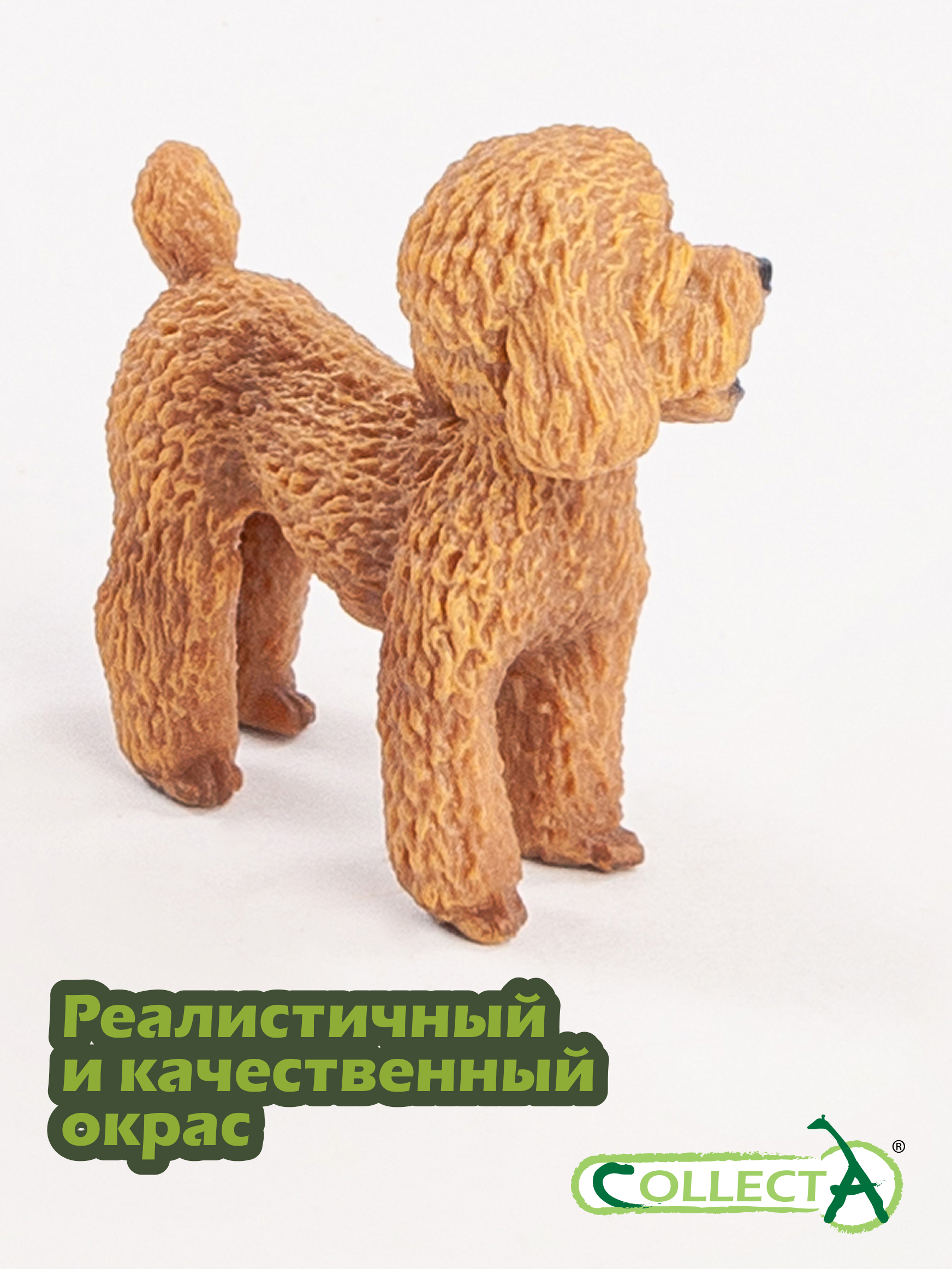 Фигурка Collecta Пудель - фото 4