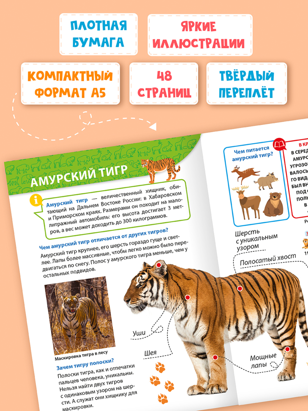 Книга Проф-Пресс Энциклопедия для маленьких почемучек. 2 шт. Домашние питомцы+Красная книга - фото 8