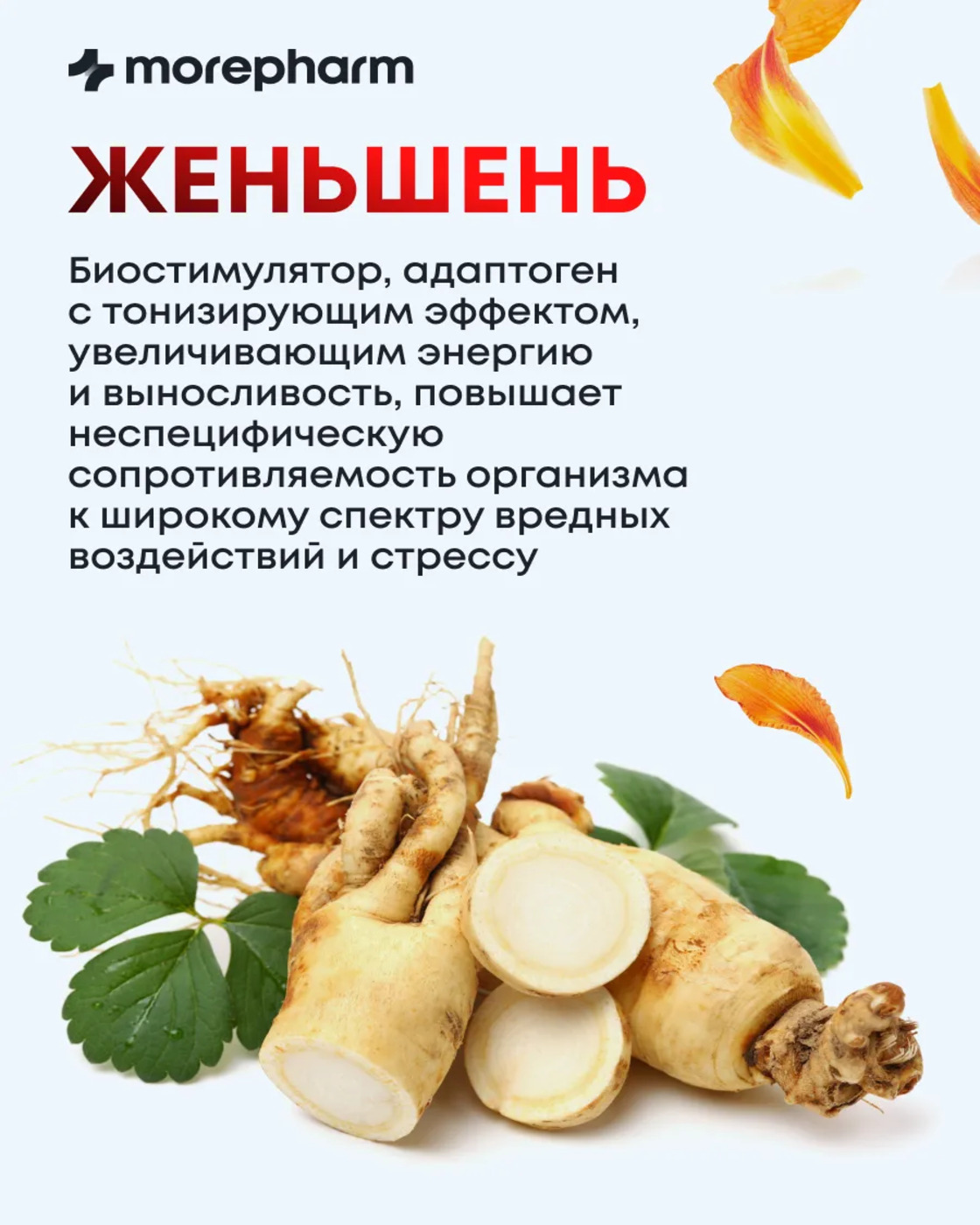 БАД morepharm Комплекс витаминов Д3 С селен цинк лизин эхинацея женьшень - фото 4