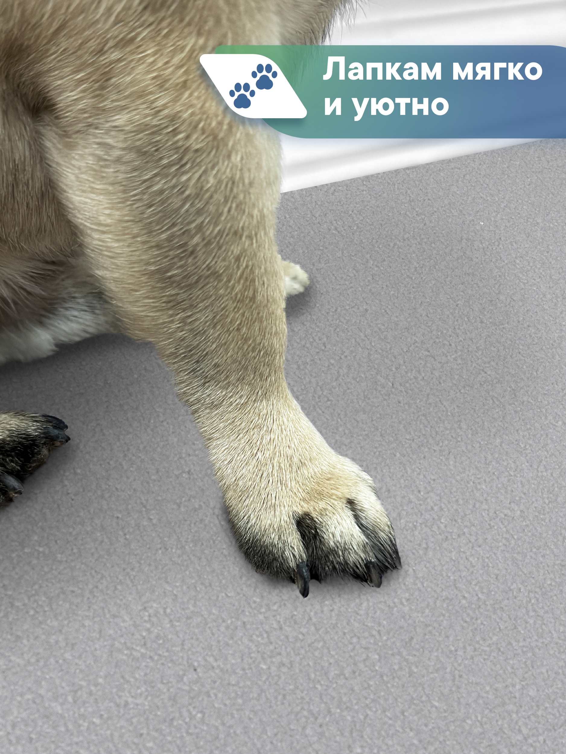 Коврик под миску VILINA Для собак и кошек 50х30 см. - фото 3