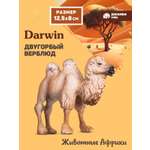 Фигурка DARWIN Животные Двугорбый верблюд