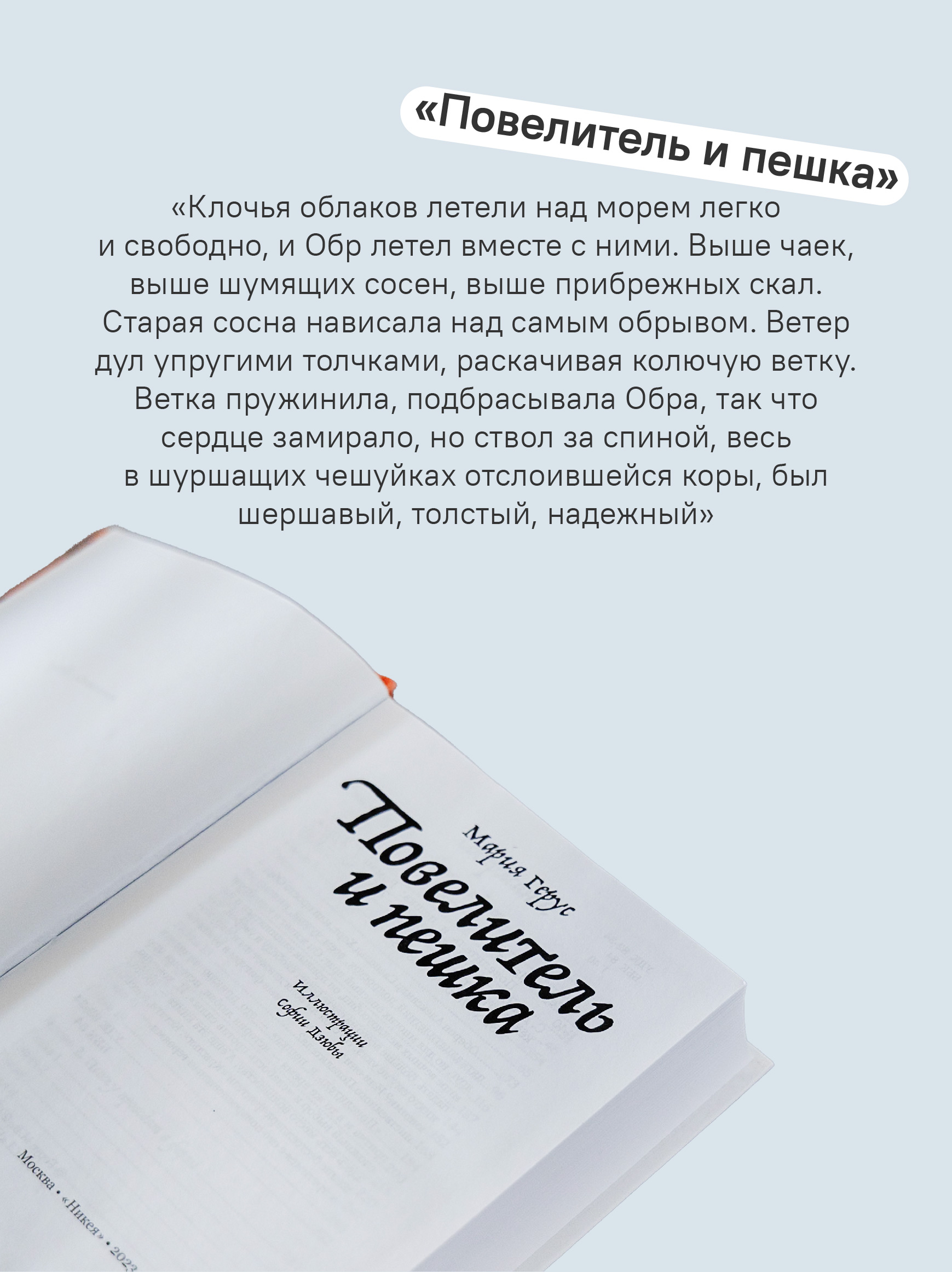 Набор книг Марии Герус Никея Крылья / Повелитель и пешка / Слепая бабочка - фото 10