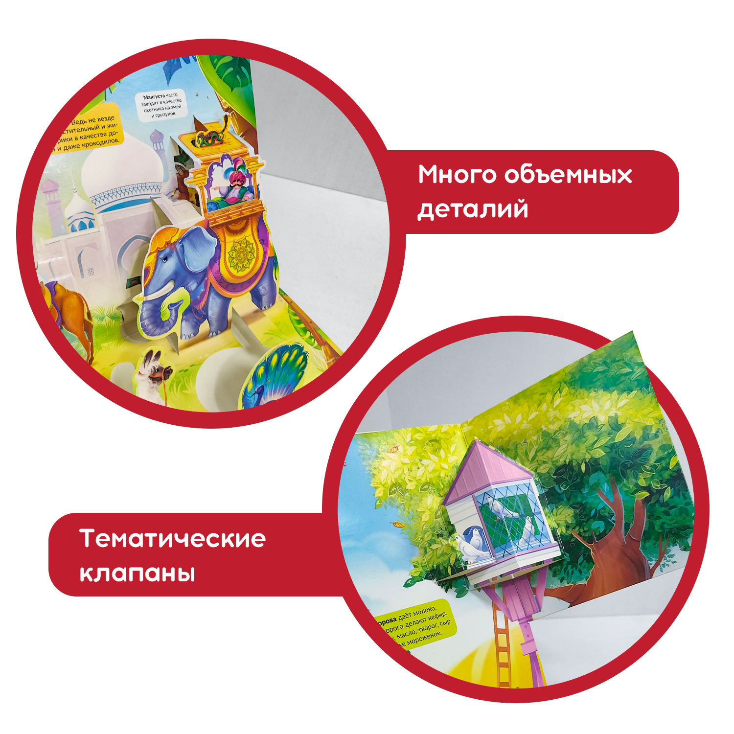 Энциклопедия Животные Ферма Malamalama Книжка панорамка для детей - фото 4