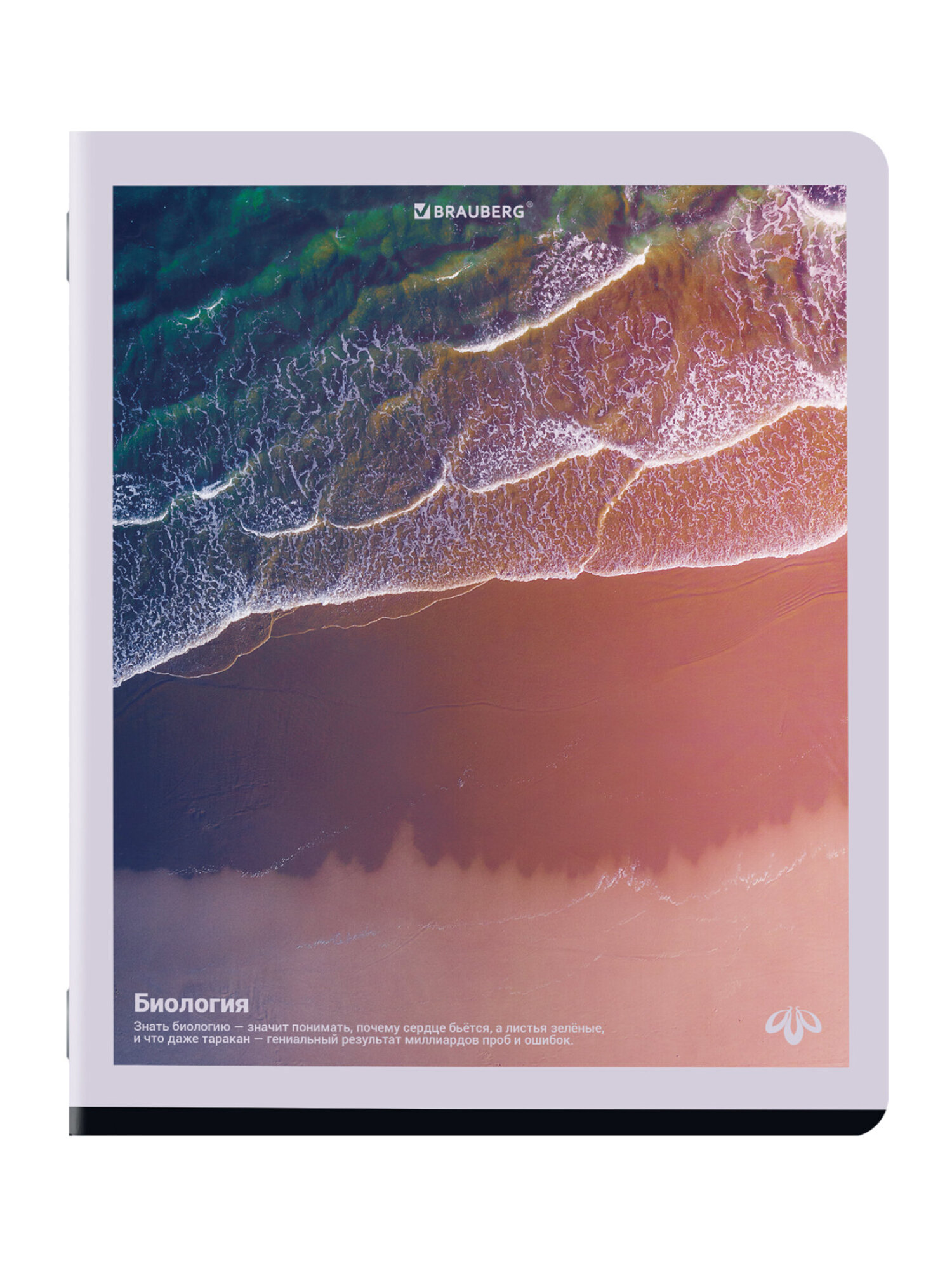 Тетрадь Brauberg 48 лист. 12 шт. - фото 9