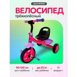 Трехколесный велосипед Velobibi 10 дюймов