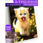 Алмазная мозаика Art on Canvas Котенок на прогулке в ассортименте