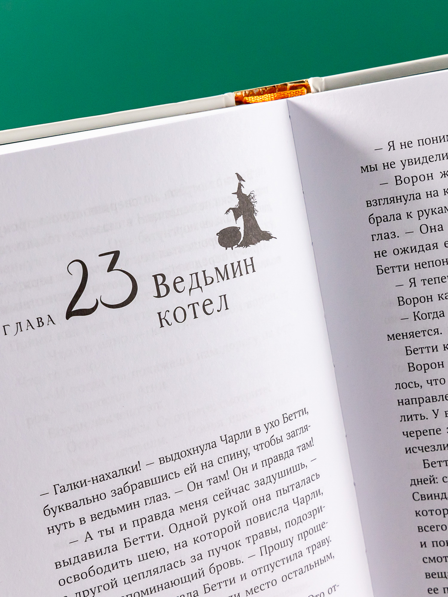 Книга Альпина. Дети Горстка волшебства - фото 16