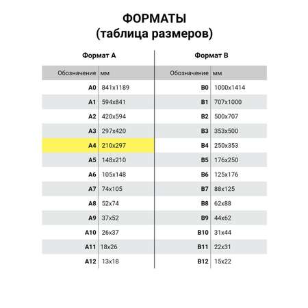 Папка-портфолио Brauberg