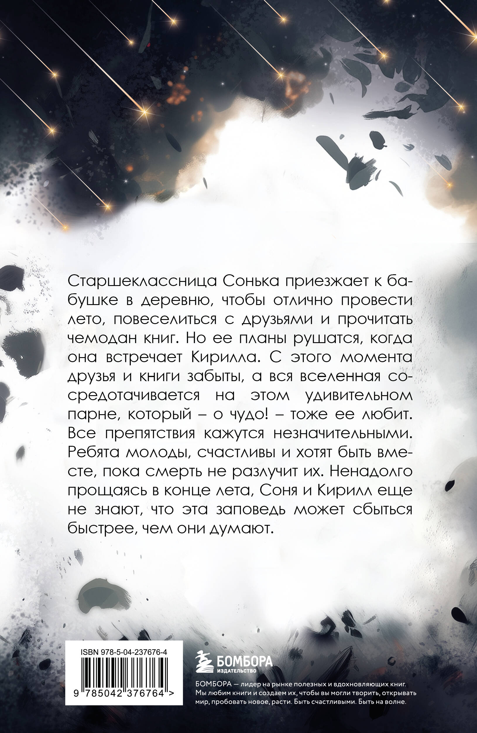 Книга БОМБОРА Под звездным дождем - фото 6