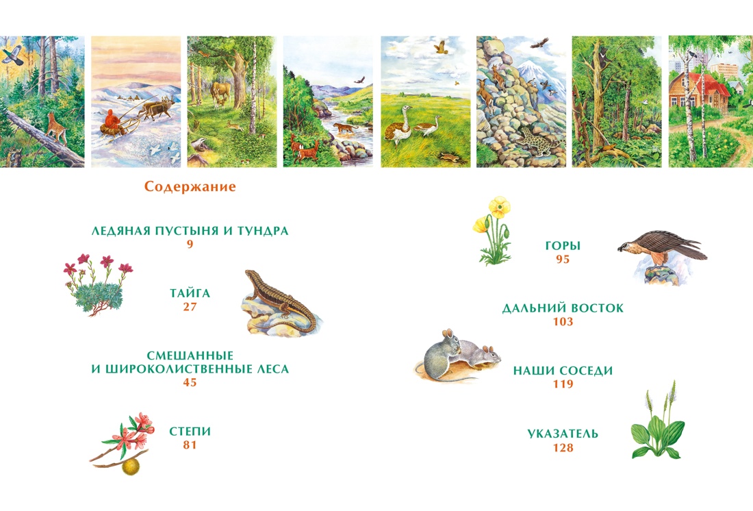 Книга Махаон Наша родина - Россия. Большой комплект из 7 книг - фото 8