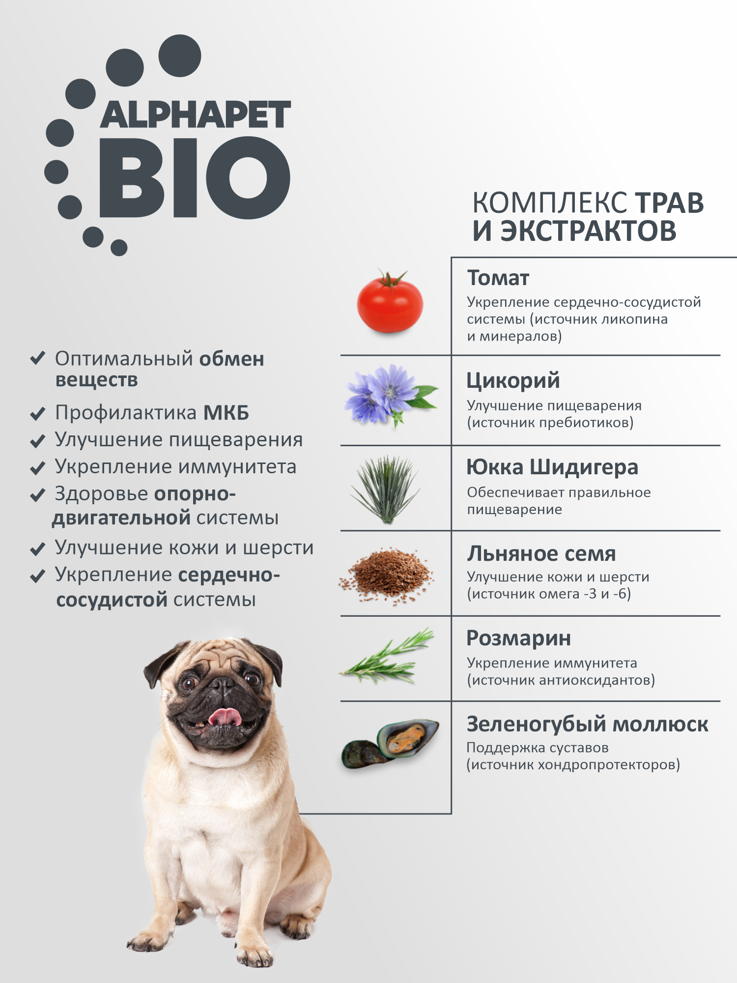 Сухой полнорационный корм AlphaPet с ягненком и бурым рисом для взрослых собак средних пород 15 кг - фото 5