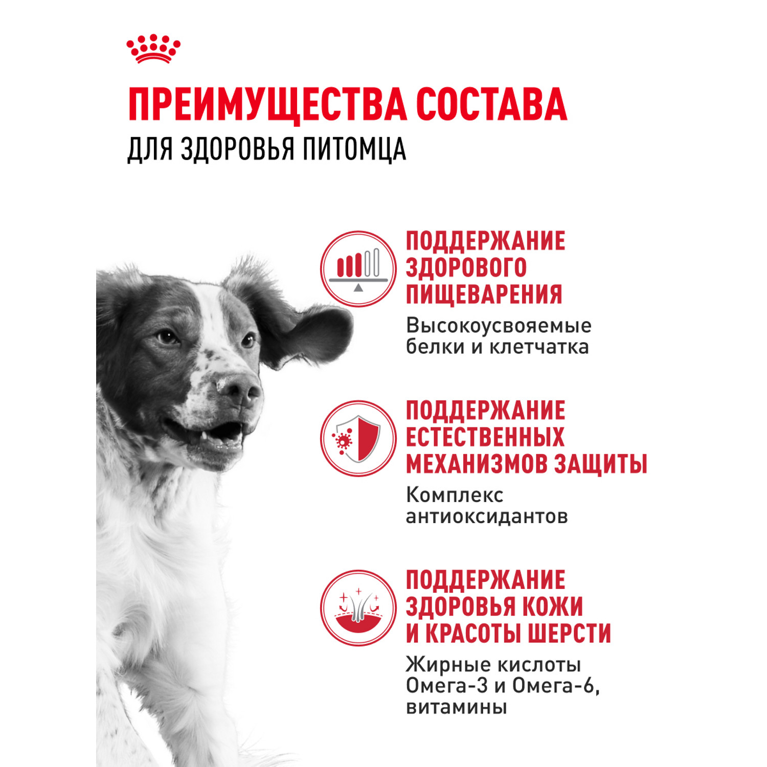 Корм для собак ROYAL CANIN Medium Adult консервированный полнорационный для взрослых собак средних размеров - фото 6